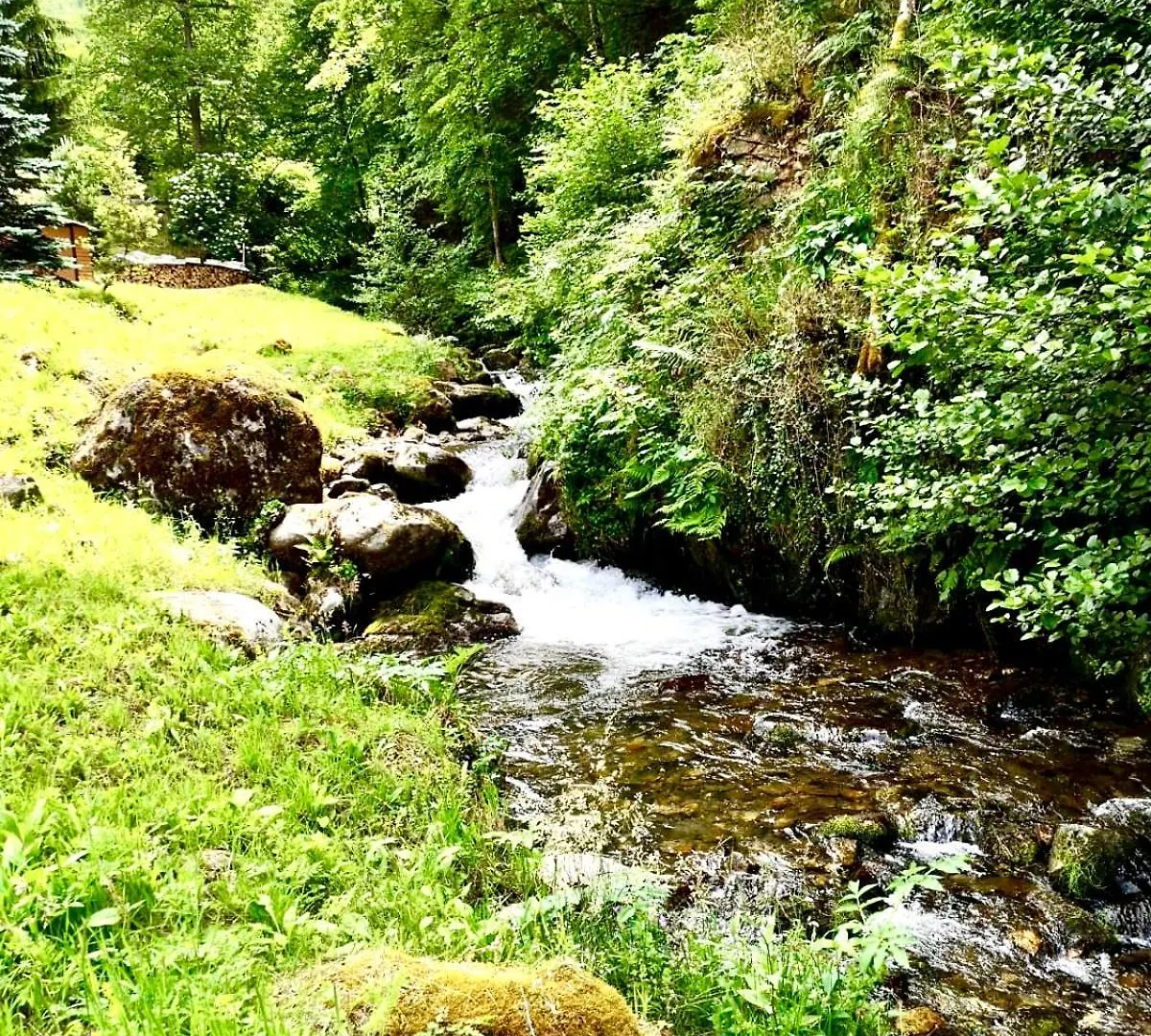 Fraicheur Garantie Chateau Perche Avec Riviere Privee En Pleine Nature Cazenave-Serre-et-Allens 0*,  France